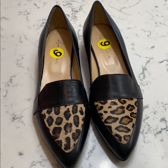 Avellini Shoes Avellini Italian Leather Shoes 399 Nwt